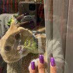 Ashley Samuel - @ashley3k9_ - Instagram