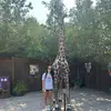ashley - @ashley.zyskowski - TikTok