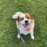 Ashley Schoonover - @ashley.schoonover.167 - Instagram