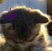 Ashley Sedillo - Facebook