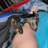Ashley Sheffield - @ashleysheffield04 - TikTok