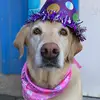 Ashley Shewmaker - @ashley.shewmaker - TikTok