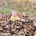 Ashley Shuler - Facebook