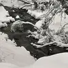 Ashley Simmonds - @ashley.simmonds3 - TikTok
