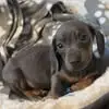 ashley simmonds - @ashley.simmonds41 - TikTok