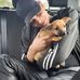 Ashley Simon - Facebook