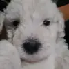 Ashley sis - @milvia5488 - TikTok