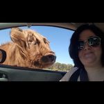 Ashley Sisson - @ashleysisson1929 - Instagram