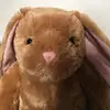 Ashley Siu - @littlebunnyashley - TikTok