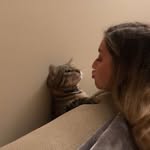 ashley - @ashley___skates - Instagram