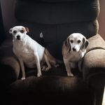 Ashley Slaven - @ashley_slaven1480 - Instagram