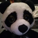 Ashley Slaven - @ashley_slaven_1480 - Instagram