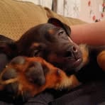 Ashley Slaven - Facebook