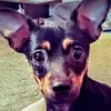 ashleyslaven4 - @ashley.slaven5 - TikTok