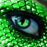 Ashley Robert Snook - @snakeeyes011 - Instagram