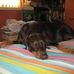 Ashleigh Souch - Facebook