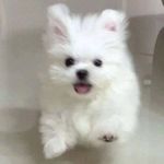 @ashley._socks - Instagram