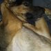 Ashley Soderstrom - Facebook