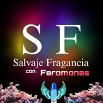 Ashley Sofia - Facebook