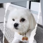 Ashley Crawford Spalding - @thekidspalding - Instagram