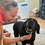 Ashley Stapleton - @astapleton28 - Instagram