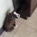 Ashley Stapleton - Facebook
