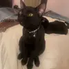 ashleysteger - @ashleysteger - TikTok