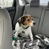 Ashley Stoller - @ashley.stoller - TikTok