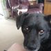 Ashley Stoneking - Facebook