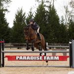 💚Ashley Stout Memorial💚 - @a.stouteventing - Instagram