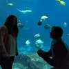 Ashley Timmons - @ashleytimmons6 - TikTok