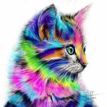 Ashley Timmons - @mycrazycatlife13 - Instagram