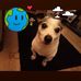 Ashley Trimble - Facebook
