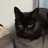 Ashley Trower - @ashley.trower - TikTok