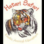 Ashley Tuma - @hatari_safari - Instagram
