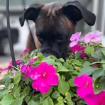 Ashley Tyrrell - Facebook
