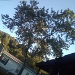 Ashley vanover - @avanover2794 - Instagram