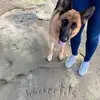 AshleyViolet - @ashleyviolet88 - TikTok