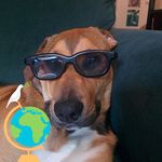 Ashley Wallis - @ashley.wallis.56 - Instagram