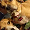 ashleywands0 - @ashleywands0 - TikTok