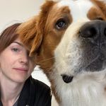 Ashley Webber - @ash.webber.grooming - Instagram