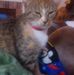 Ashley Weimer - Facebook