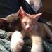 Ashley Winslow - Facebook