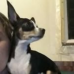 Ashley A Wiser Evans - @wiserevans - Instagram