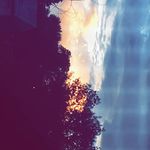 Ashley Witmer - @ashley.witmer.photography - Instagram