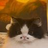 ashlyrivas303 - @ashlyrivas303 - TikTok
