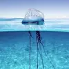 ashlynbarry230 - @ashlynbarry230 - TikTok