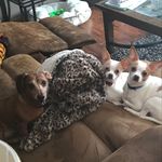 Ashlyn Bennett - @ashlyn492006 - Instagram