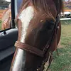 ashlynngoff - @horsesaremything0 - TikTok