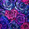 Ashlynn grant - @ashlynn_grant395_ - TikTok